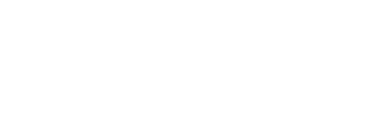 GDZ Computer Services